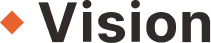 vision-storecheck