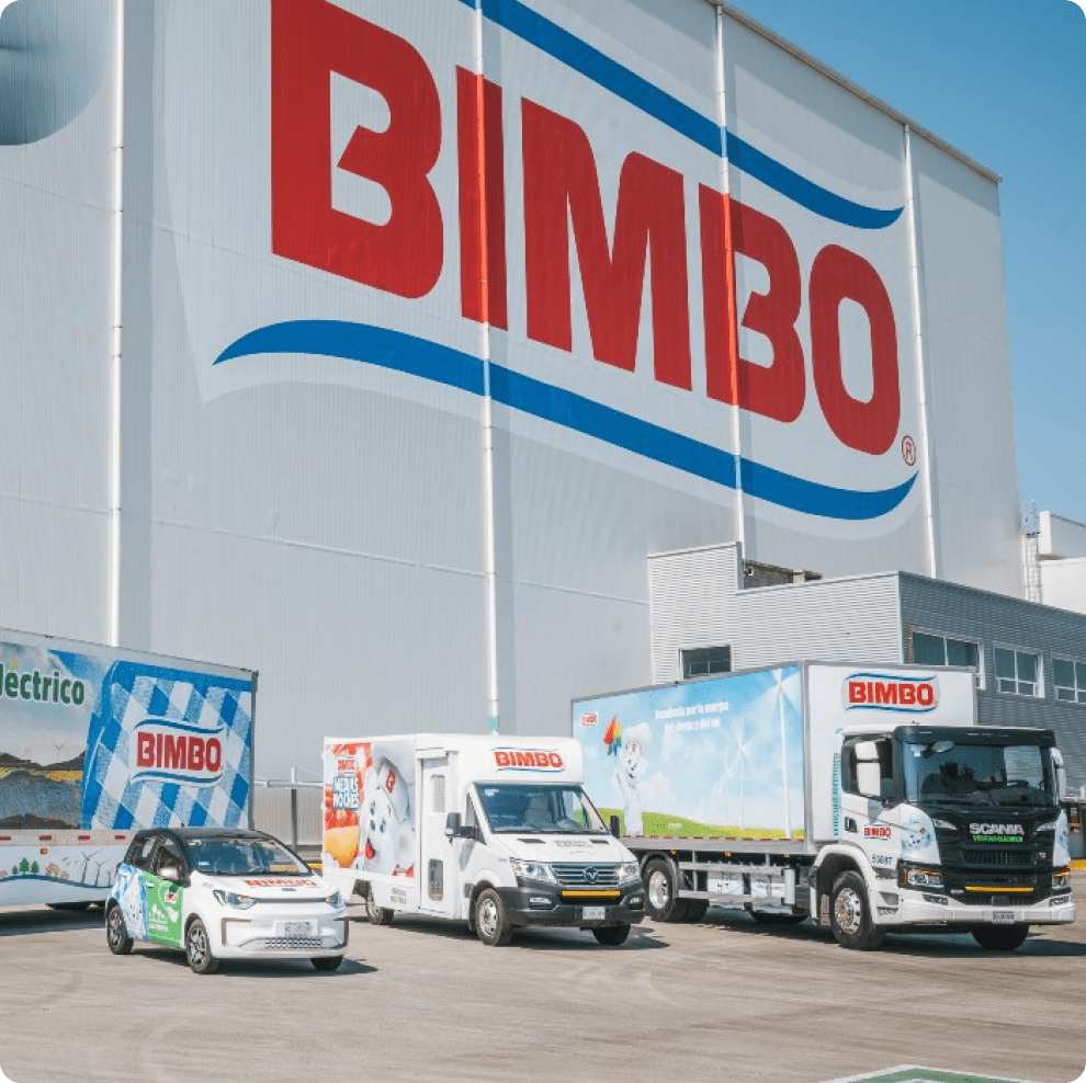 casos-de-exito-sell-in-sell-out-bimbo